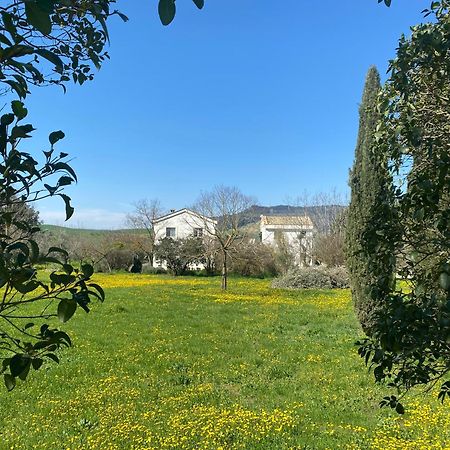 מטרה Agriturismo Colle Igino מראה חיצוני תמונה