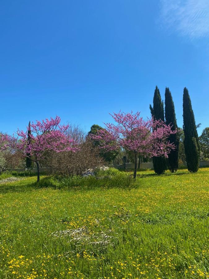 מטרה Agriturismo Colle Igino מראה חיצוני תמונה