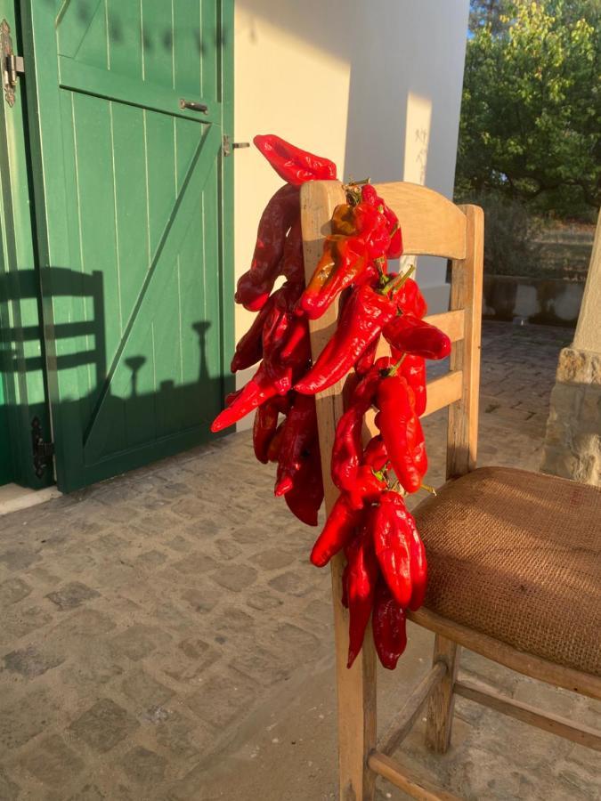 מטרה Agriturismo Colle Igino מראה חיצוני תמונה