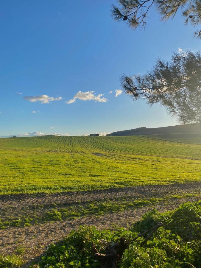 מטרה Agriturismo Colle Igino מראה חיצוני תמונה
