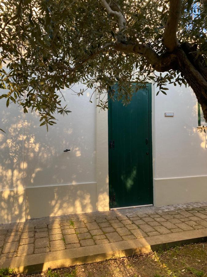 מטרה Agriturismo Colle Igino מראה חיצוני תמונה