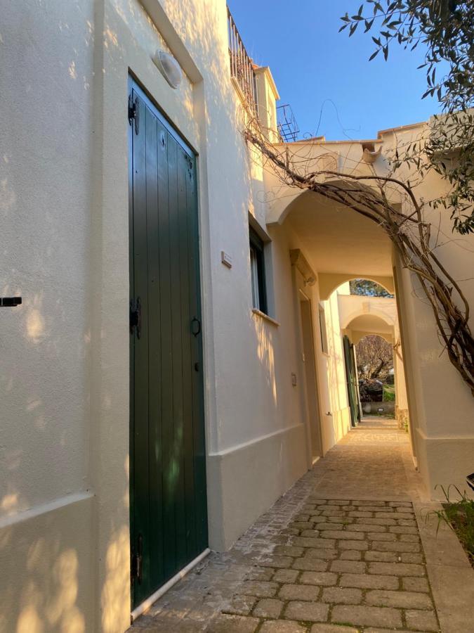 מטרה Agriturismo Colle Igino מראה חיצוני תמונה