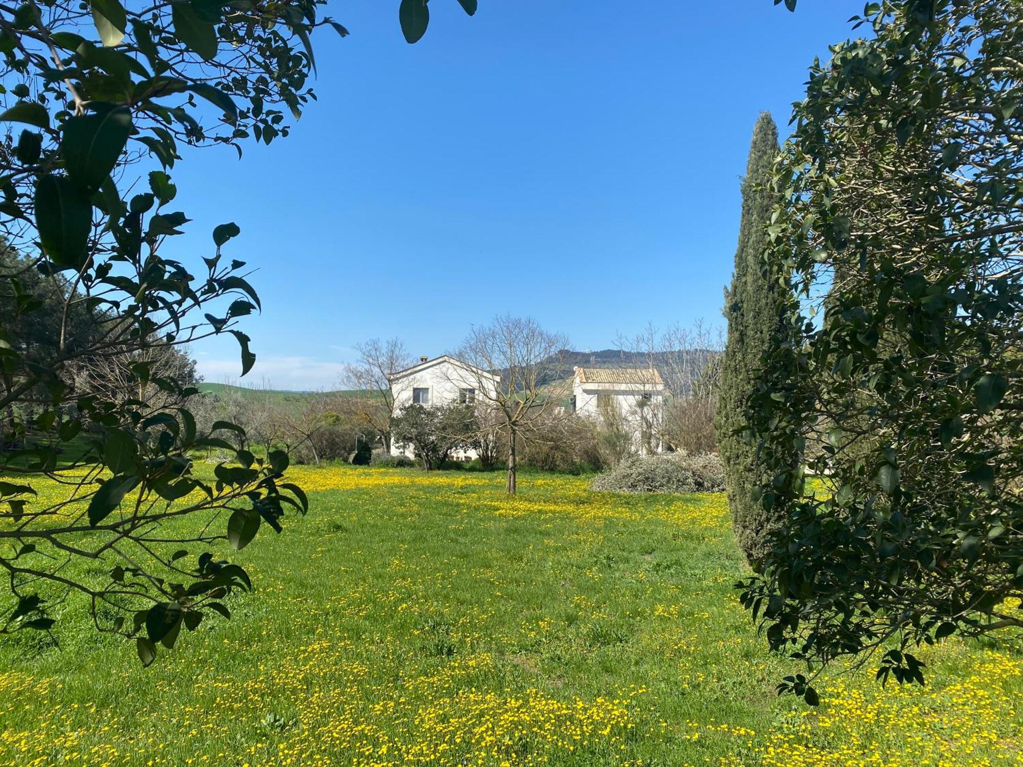 מטרה Agriturismo Colle Igino מראה חיצוני תמונה