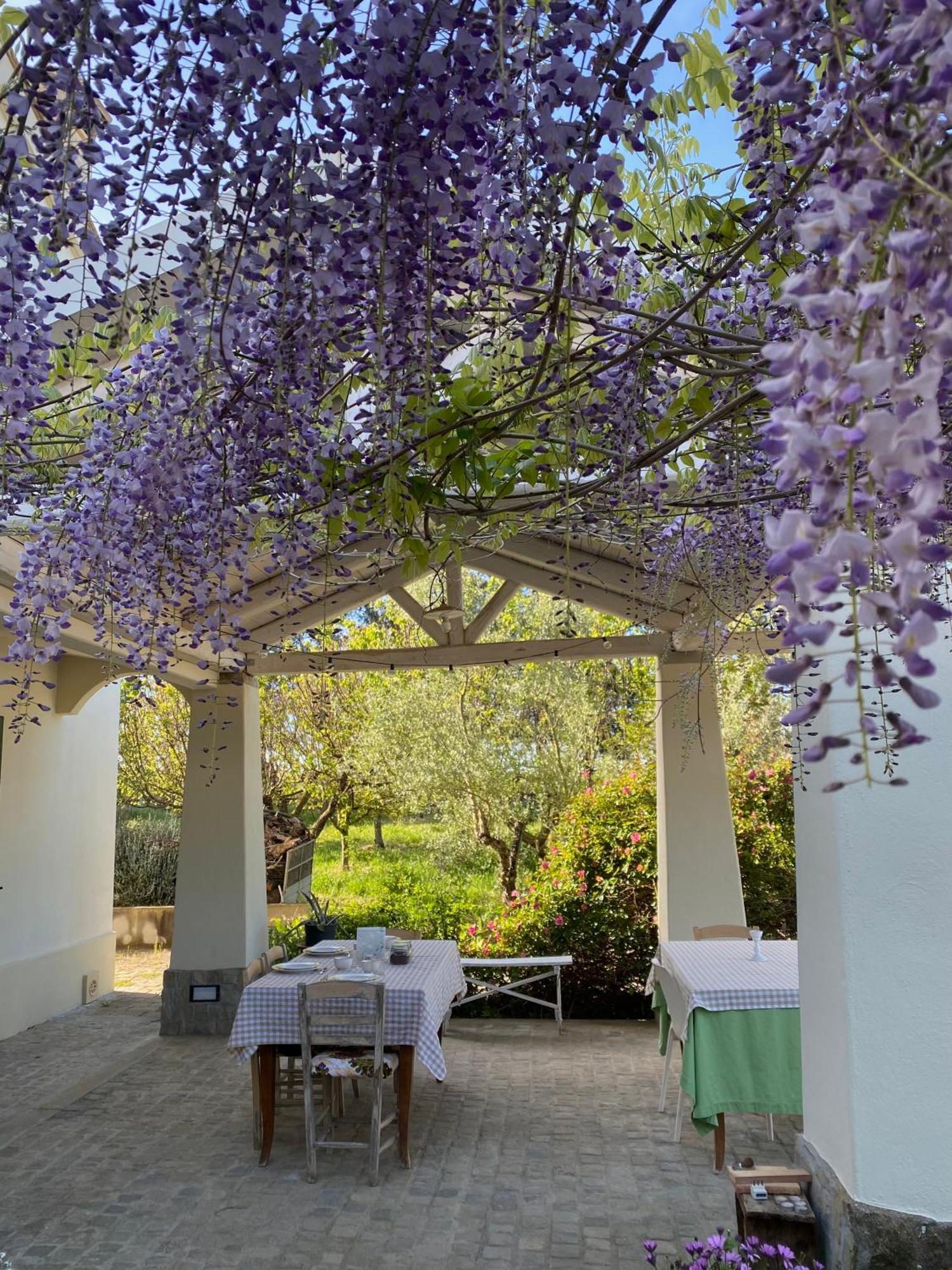 מטרה Agriturismo Colle Igino מראה חיצוני תמונה