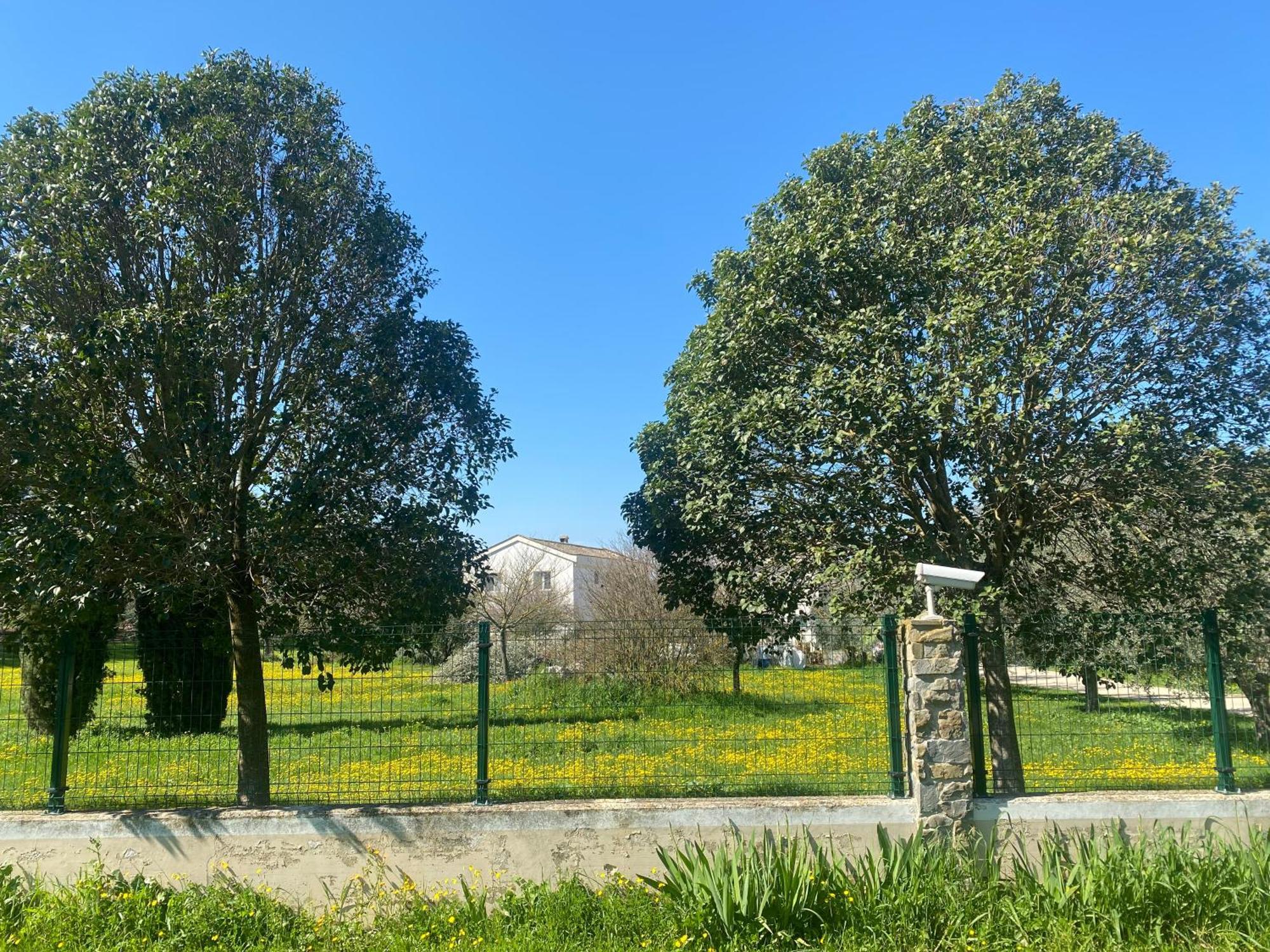 מטרה Agriturismo Colle Igino מראה חיצוני תמונה