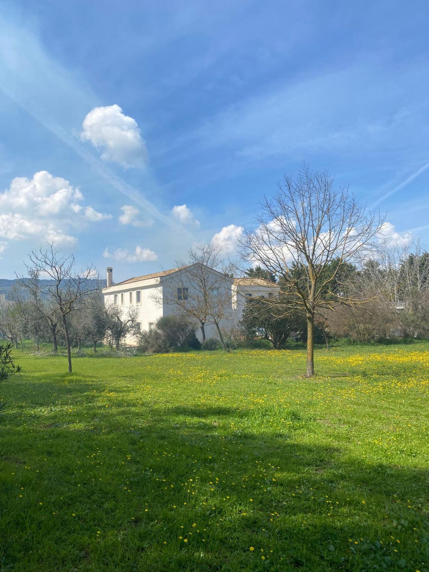 מטרה Agriturismo Colle Igino מראה חיצוני תמונה